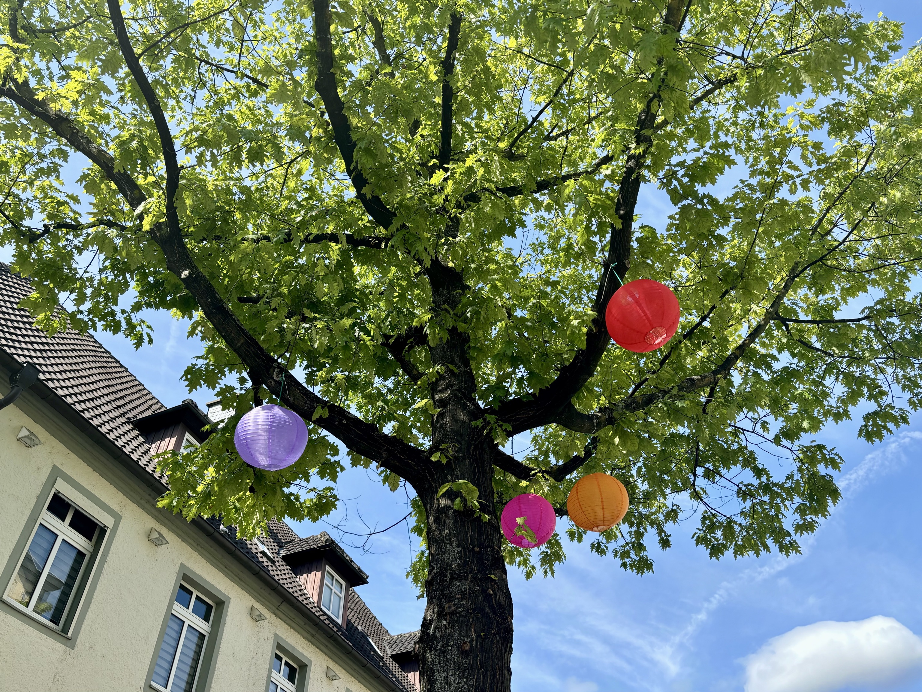 Baum mit bunten Lampions 